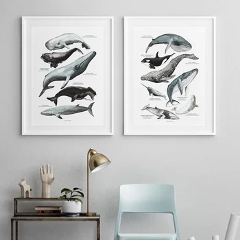 Akvarel Morskega Življenja Kit Morski Pes Wall Art Papir, Platno Slikarstvo Nordijska Plakatov In Fotografij Stenske Slike Za Dnevna Soba Dekor