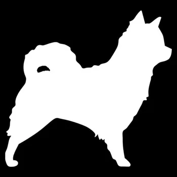 10.2*9.5 CM Dolgodlaki Chihuahua Pes Avto Nalepke Lepe Nalepke Avto Rep Styling Dekorativni Črna/Srebrna S1-0235